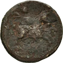 coin rev