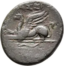 coin rev