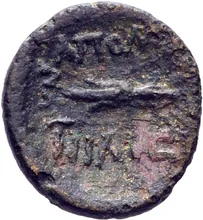 coin rev