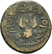 coin rev
