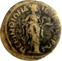 coin rev