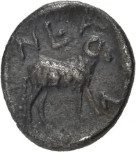 coin rev