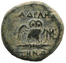 coin rev