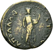 coin rev