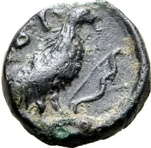 coin rev