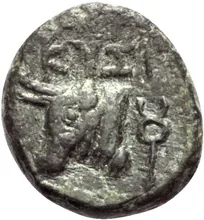 coin rev