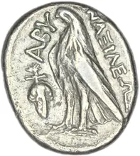 coin rev