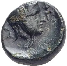 coin rev