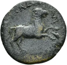 coin rev