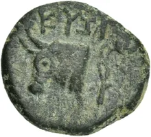 coin rev