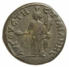 coin rev