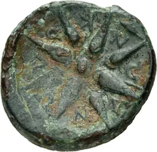 coin rev