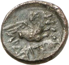 coin rev