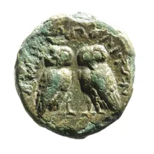 coin rev