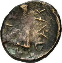 coin rev