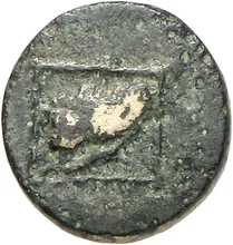 coin obv