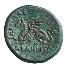 coin rev