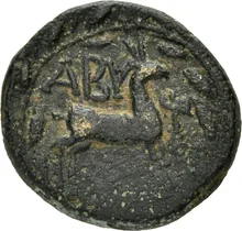 coin rev