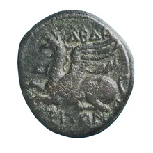 coin obv