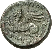 coin rev