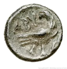 coin rev