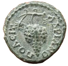 coin rev