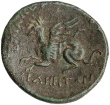 coin rev
