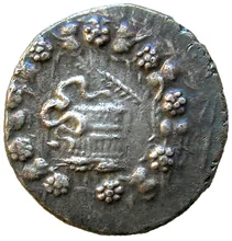 coin obv