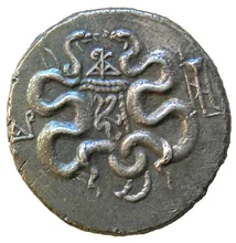 coin rev