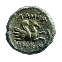 coin rev