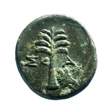 coin rev
