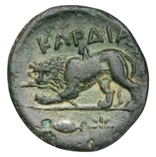 coin rev