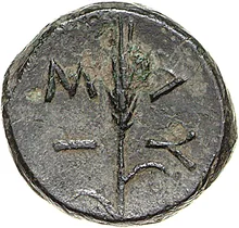 coin rev