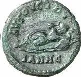 coin rev