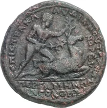 coin rev