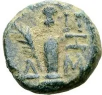 coin rev