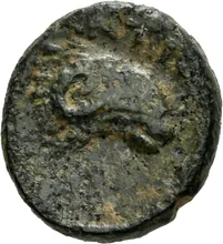 coin rev