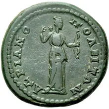 coin rev