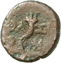 coin rev