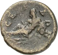 coin rev