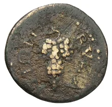 coin rev