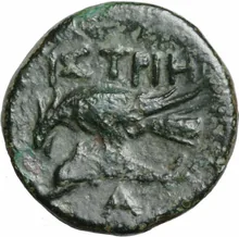coin rev