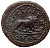 coin rev