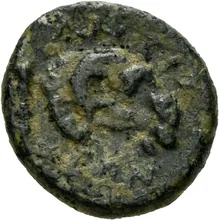 coin rev