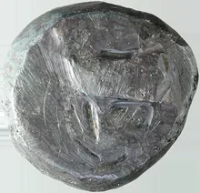 coin obv