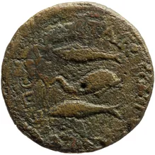 coin rev