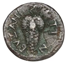 coin rev