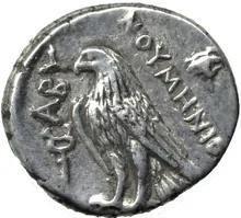 coin rev