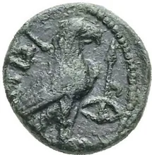 coin rev