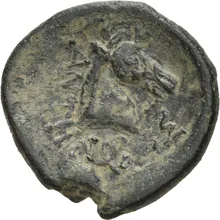 coin rev
